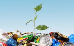 Негативное воздействие отходов «будут снимать» штрафами