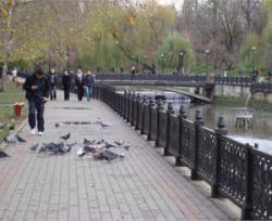 Набережную в Симферополе растаскивают по частям