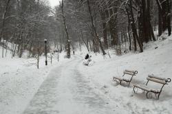 Львовские парки прихорашивает ежедневно