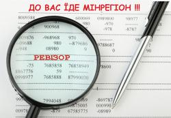 Как коммунальщики ревизора встречали