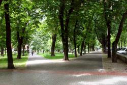 Столичным легким добавили кислорода