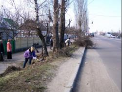 Житомирские власти заплатят горожанам за уборку дворов